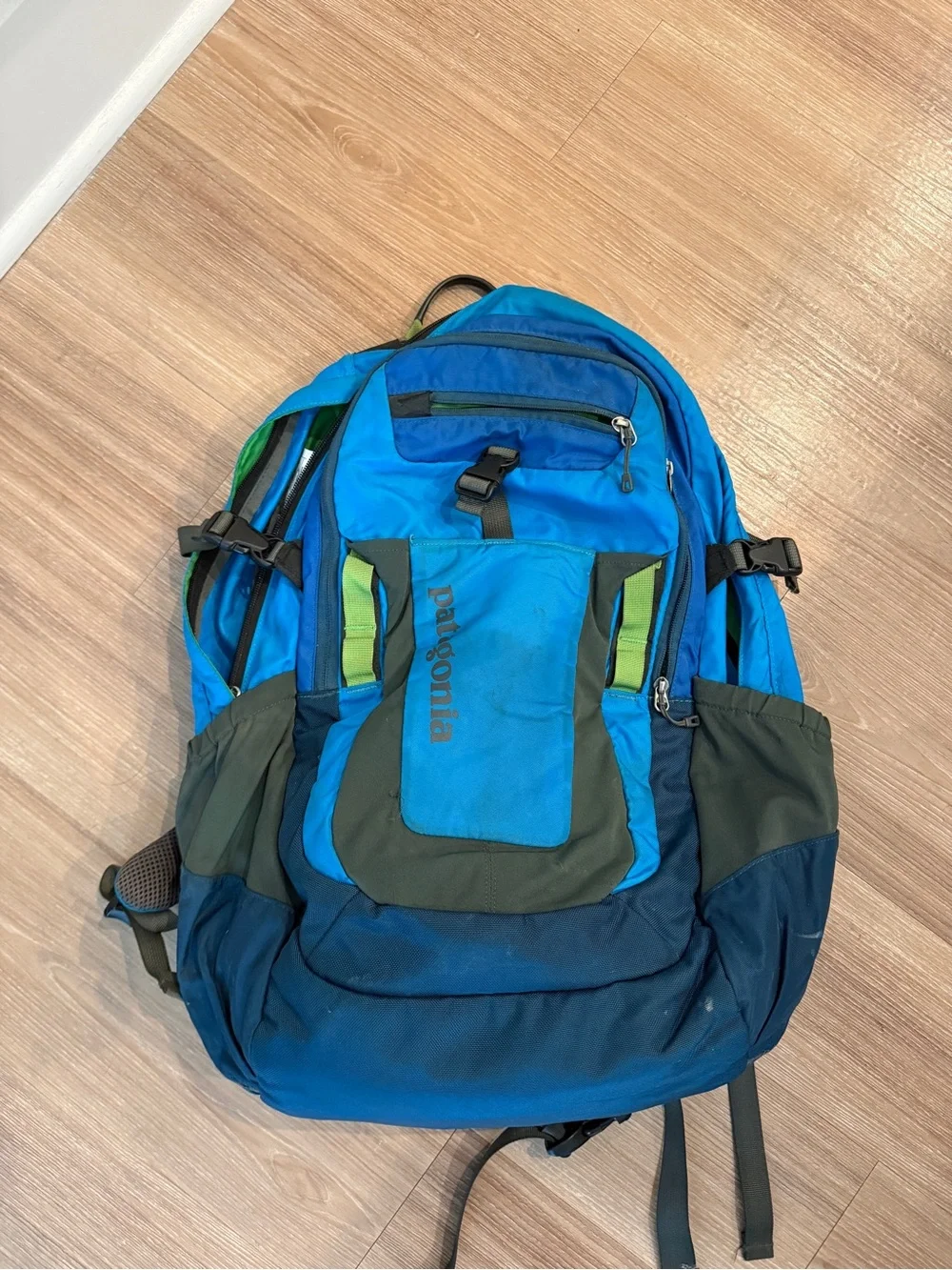 Patagonia Blue and Green Daypack Backpack